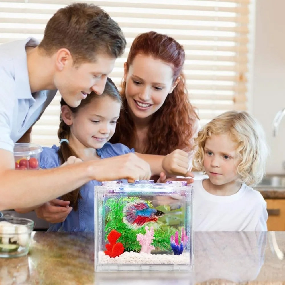 Aquarium Mini Fish Tank Mini Fish Bowls Thai Betta Tank Small Ornamental Fish Live Pet Stackable Aquariums