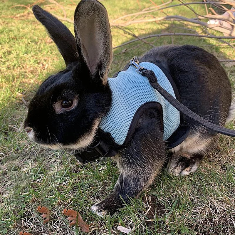 Mesh Breathable Ferret Bunny Harness Leash Set for Small Animals Rabbit Hamsters Summer Walking Pet Lead mascotas Accessories