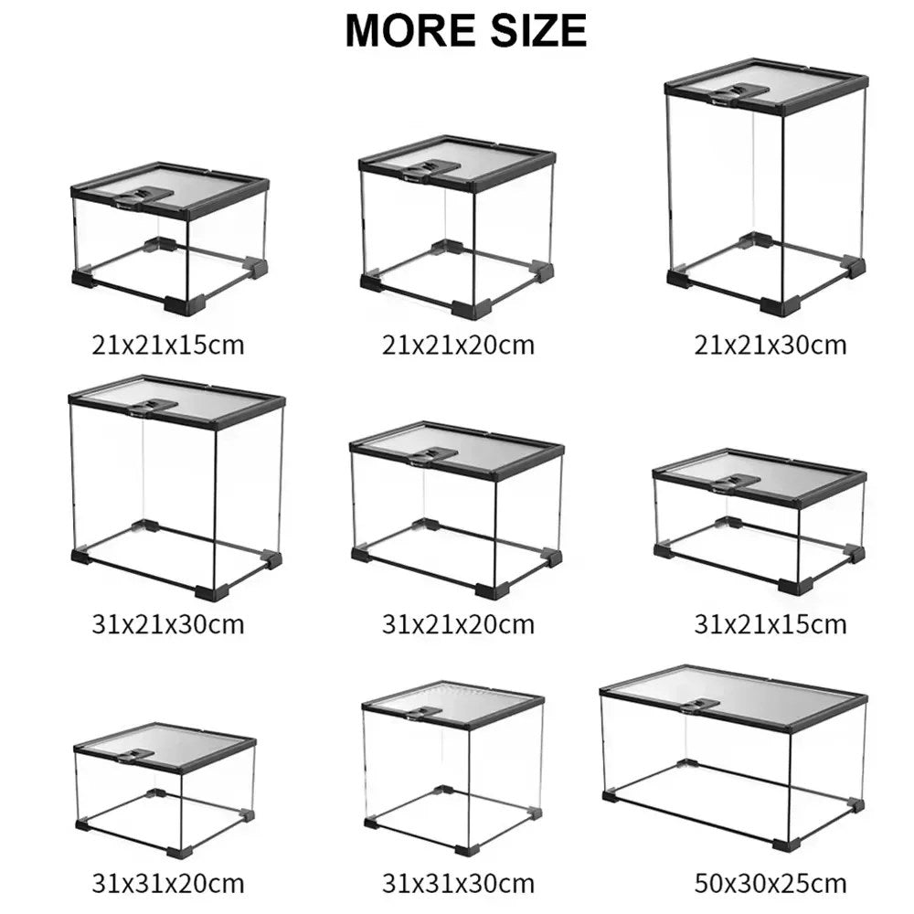 Reptile Pet Glass Feeding Box Turtle Terrarium Snake Spider Lizard Horned Frog Feeding Box Rainforest Ecological Tank Snail Crab