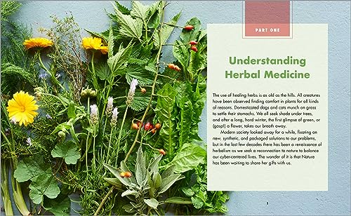 The Big Book of Herbal Medicine: 300 Natural Remedies for Health and Wellness