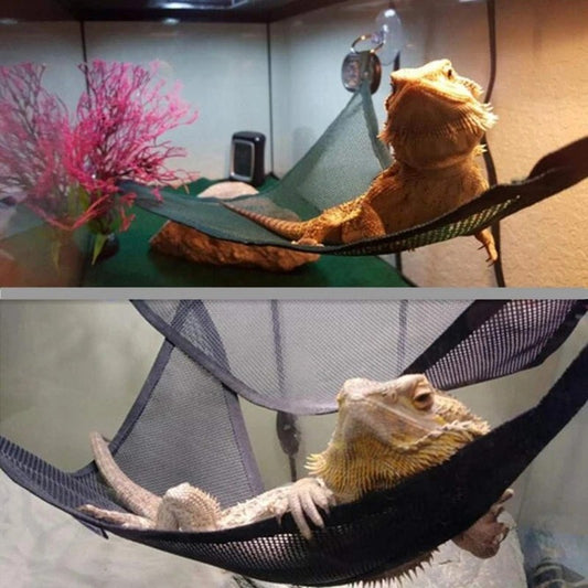 Reptile Hammock Lounger Ladder Accessories Set for Large Small Bearded Dragons Anole Geckos Lizards or Snakes Reptile Accessorie