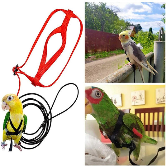 Training Flying Traction Rope Anti-Bite Training Rope Bird Parrot Flying Rope Parrot Harness Bird Harness Leash