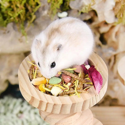 Wooden Hamster Feeding Bowl Hamster Food Bowl Small Animal Round Feeding Dish for Dwarf Syrian Hamsters Gerbils Mice